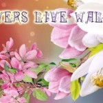 3D-Flowers-Live-Wallpaper-v1.0.1-APK_001