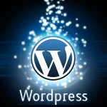 WordPress3.1 apk