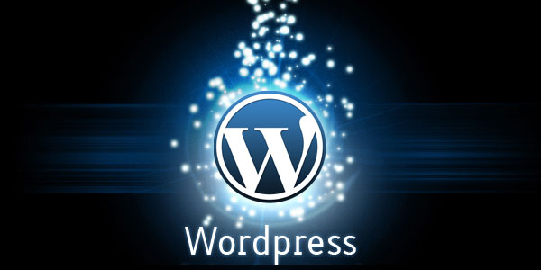 WordPress3.1 apk